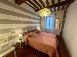 Cactus Suite in un palazzo antico nel centro storico di Pisa