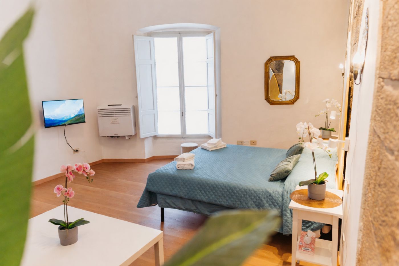 Pergola Suite luminoso e curato appartamento nel centro storico di Pisa